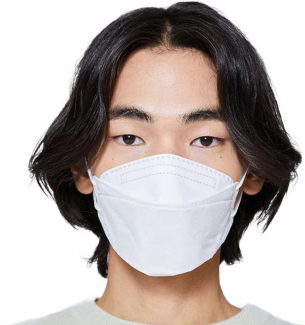 [애니가드] KF94 기본 황사방역용마스크 대형 100매 3D, 1세트