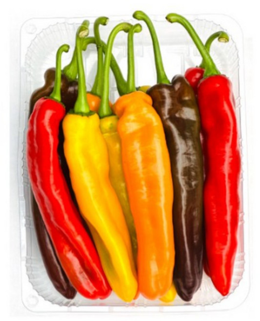 썬메이트 팔레르모 파프리카 레인보우 [농장직송] GAP경진대회 대상, 1세트, 1.2kg