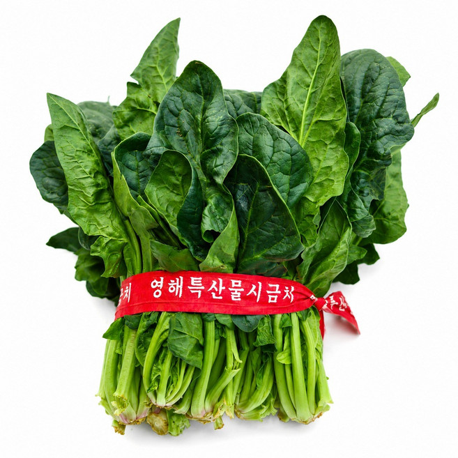 [영남상회] 해풍맞아 맛있는 포항 영해초 시금치 1단 300g, 1개