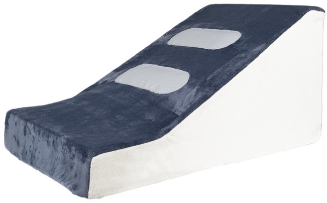 8 DECO 프리미엄 투스텝 펫 스텝 슬라이드 대형, 블루, 1개