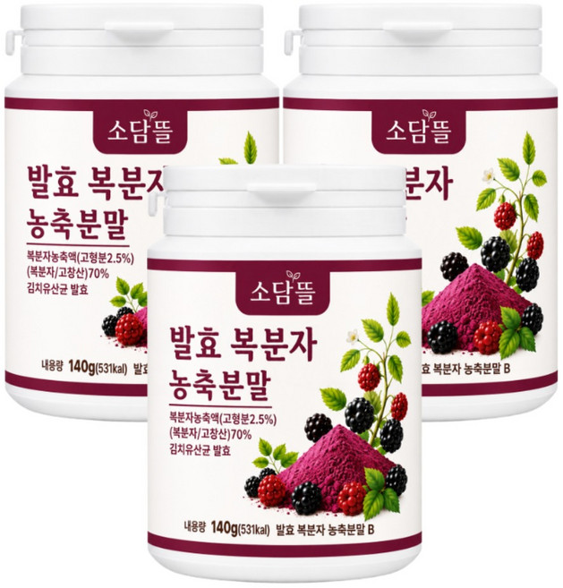 소담뜰 고창 복분자 분말 가루 국내산 발효복분자, 3개, 140g