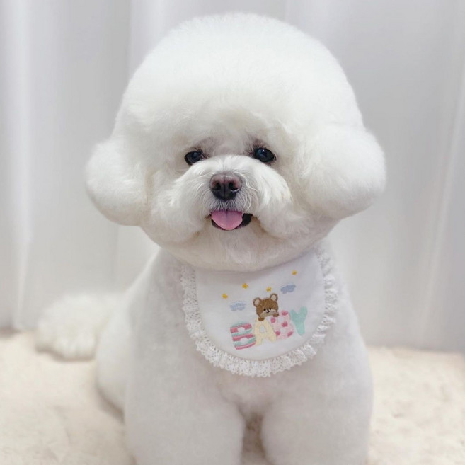 강아지 고양이겸용 순면 케이프 스카프 턱받이, 1개, 화이트