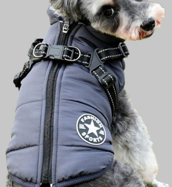 펫꾸러기 강아지 하네스 일체형 방한패딩, 1개, 차콜그레이