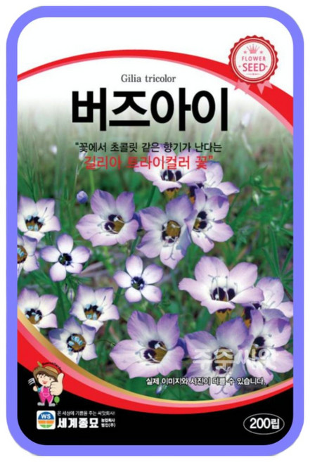 버즈아이 200립, 1개