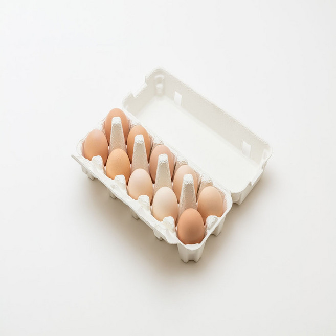 (부화용) 신품종 슈퍼 오골계 - 유정란 10개, 1개