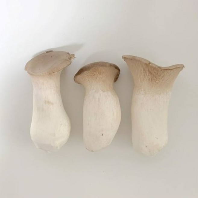 (특)새송이버섯 2kg 무농약인증제품 (특.박스새송이), 1박스