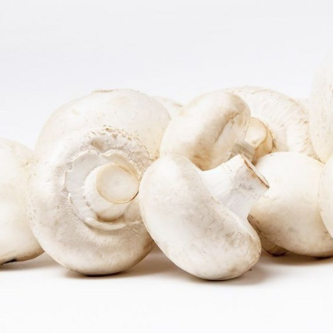 [보령머쉬팜]양송이버섯 특품, 1개, 흰색양송이 특품1kg