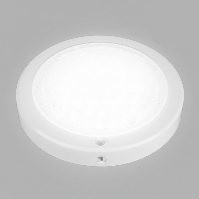 유진 20W LED 현관 센서등 방습형 복도 계단 조명, 주광색, 1개