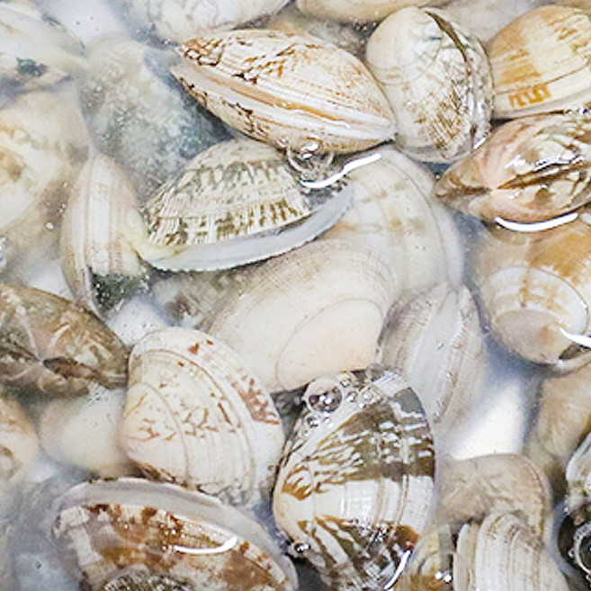 냉동 바지락 피바지락 업소용 대용량, 1박스, 5kg