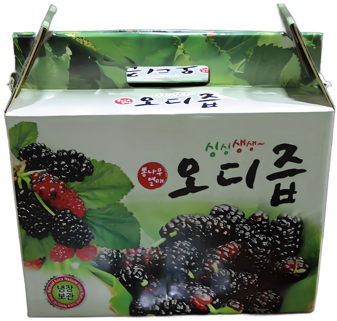 100% 순수 오디즙 120ml 50포, 6L, 1개