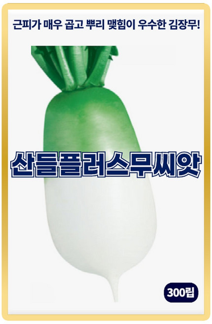 산들 플러스 무씨앗 300립 근피 매우 곱고 뿌리 맺힘이 우수한 소량 김장무씨 종자, 2개