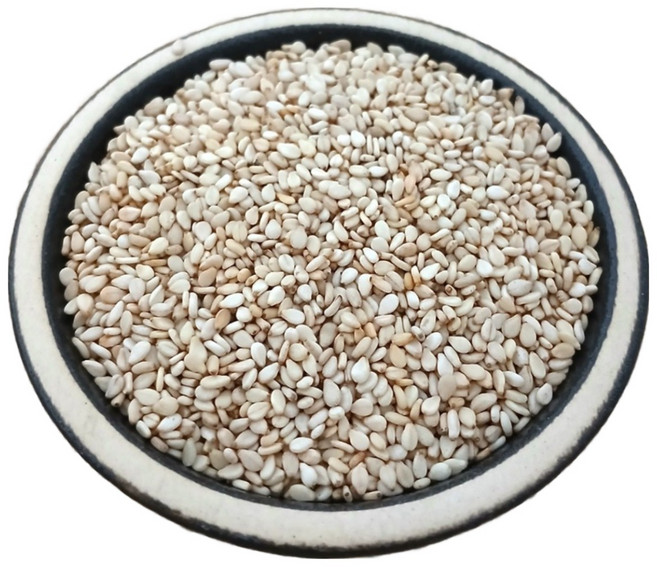 중국산 참깨 5kg (2025년산) 생참깨 수입 참깨(볶지않은것), 1개