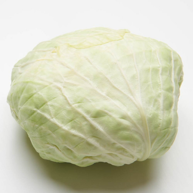 (거북)국내산 양배추, 1개, 8kg