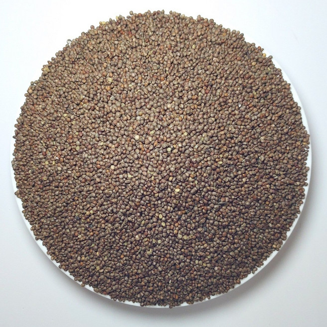 2025년 햇 중국산 흑룡강성 들깨 1kg 국내선별건조, 1개