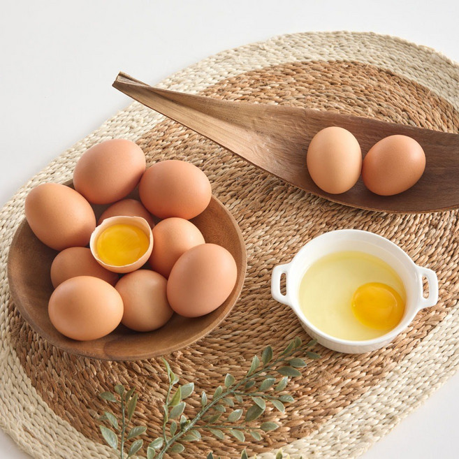 알참참 HACCP 무항생제 특란 신선한 계란 생란, 1개, 60구