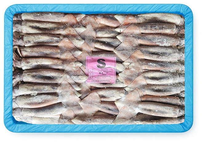 포크오징어 선동 원양산 오징어 20kg 채낚기 수입산 냉동, 채낚/포크오징어/S/20kg/원양