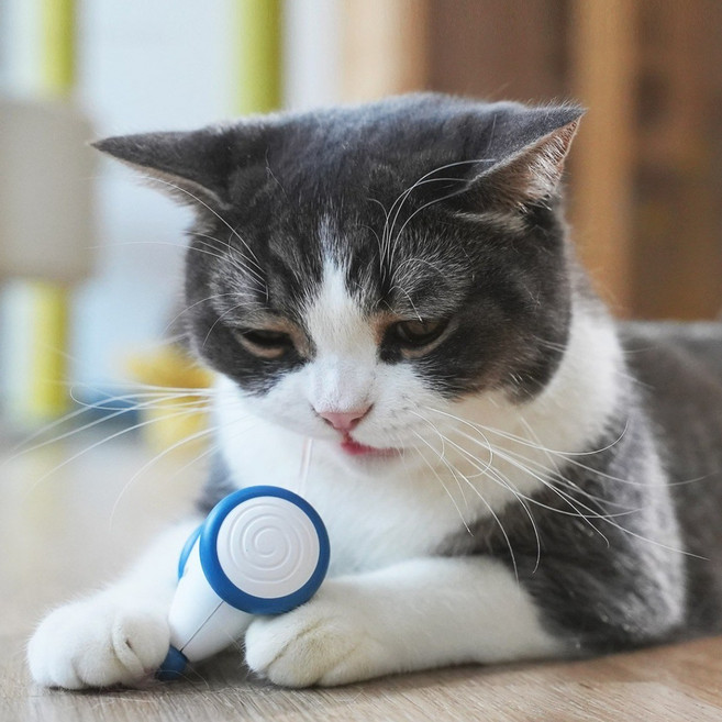 냥템점 위키드 마우스, A1001, 오렌지, 1개