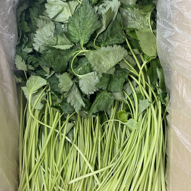 [봄향기 가득] 향긋한 봄나물 참나물, 1박스, 4kg