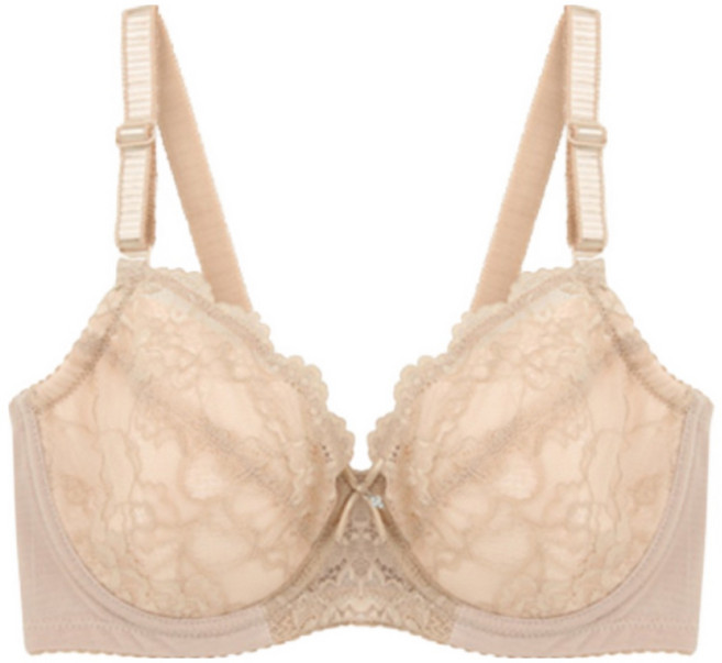 빅사이즈속옷/빅사이즈브라/브라_비너스BR6005 레이스 홑겹브라