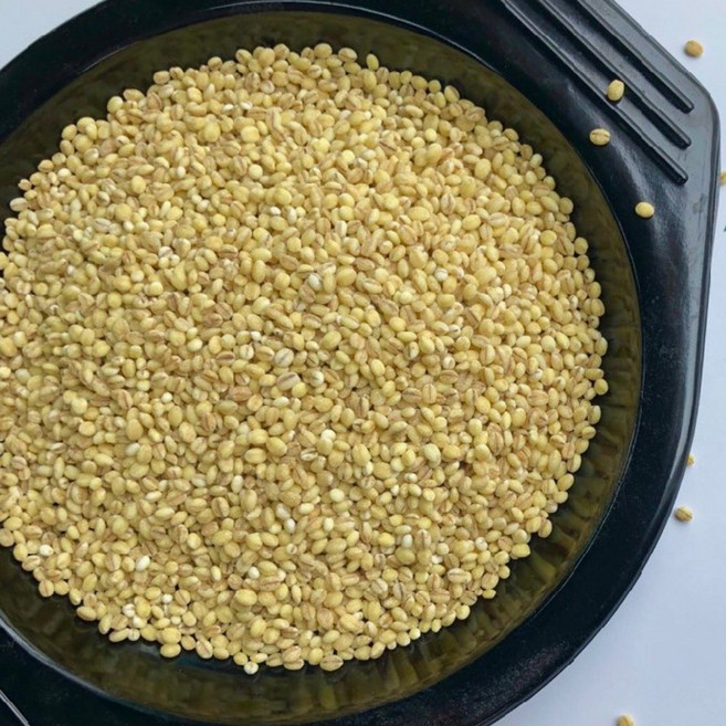 봉황뜰 찰보리쌀 2026년산, 10kg, 1개