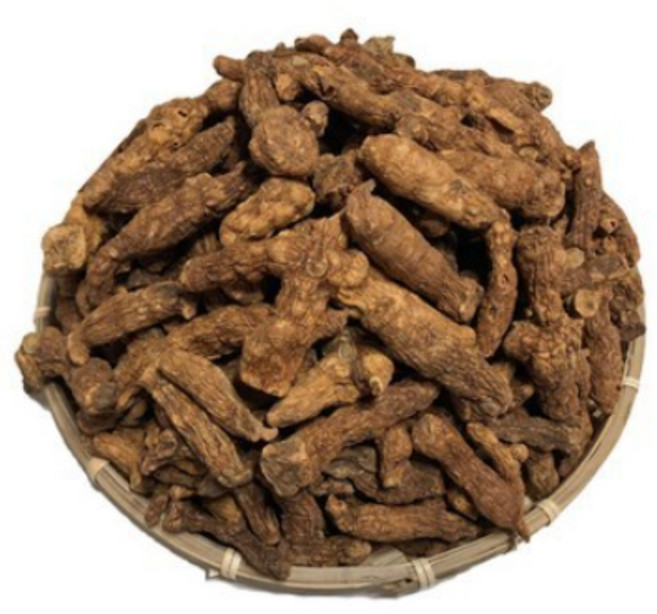 창제일농수산 국산볶은 둥글레 특품 300g 500g 1k 품질자신, 1kg, 1개