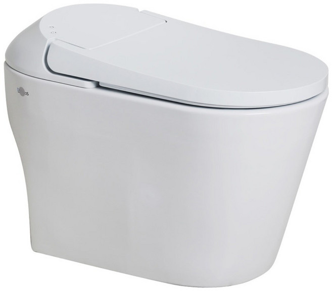 신제품 대림 비데일체형양변기 직수형 자동물내림 DLB-770 서울 경기 인천 설치비포함, DB-9801, 방문설치