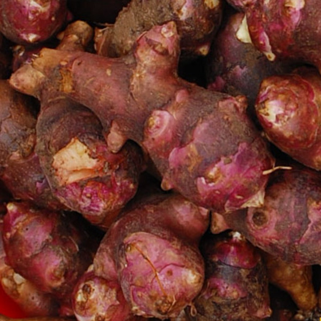 2026년3월9일 수확 토종 자색돼지감자1kg12800 종자 돼지감자 생돼지감자 자색돼지감자 종자용, 1박스, 토종돼지감자1kg