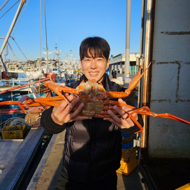 살이꽉찬 국산 박달대게 수율90% 영덕대게 찜 자숙 울진 대게 포항 구룡포 게 대개 제철 1kg 2kg, 1박스, 국산박달대게 1kg (2~3마리 살수율90%이상)