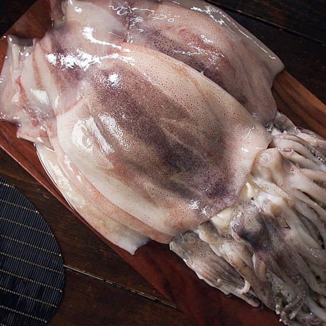 [TV홈쇼핑 정품 PREMIUM] 청해대왕 통오징어 12마리 총(1.4kg내외) 손질된 자연산 오징어 마리당25cm 손질걱정 NO YS홈쇼핑본사, 1개, 1.4kg(12미)