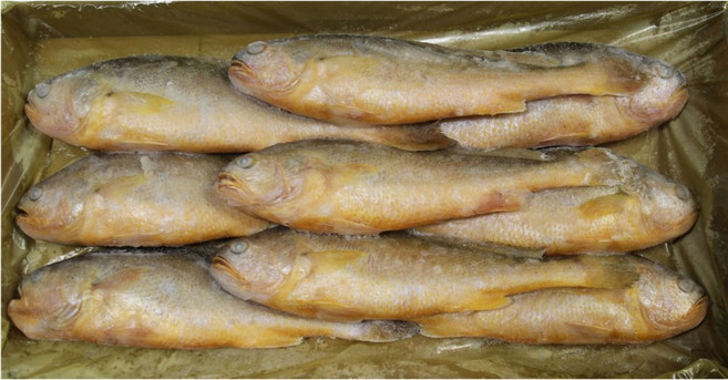 해물총각 부세조기 9마리 1박스, 3.4kg