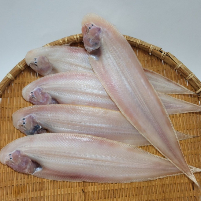 동해바다 해풍건조 서대(박대) 대방출(32~35cm), 1개, 4미