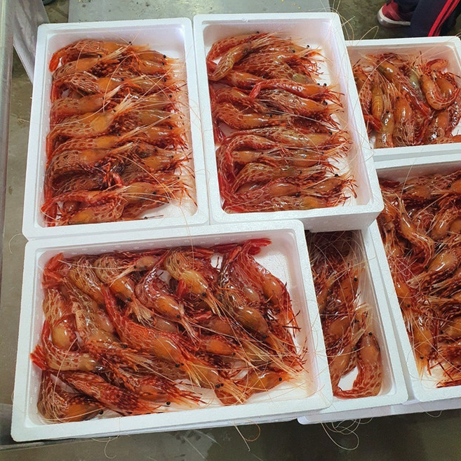 삼시세끼연구소 원산지표기 달큰함터지는 급냉 독도 꽃새우 독도새우, 1개, 1kg