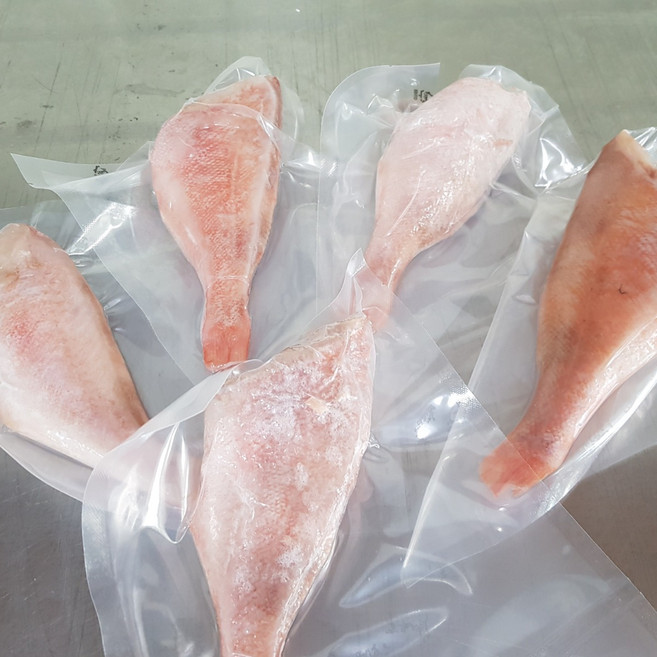 동해바다 손질 열기 적어 볼락 빨간생선 (1kg 내외)~개별 포장~, 1세트, 5마리(1세트 구성)