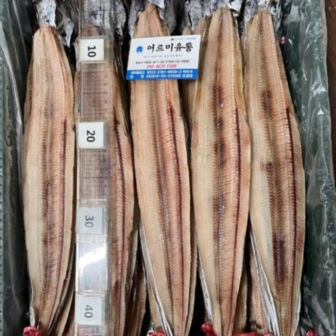 목포 건갈치 55cm내외 반건조 먹갈치 풀치, 1개, 10마리, 비손질
