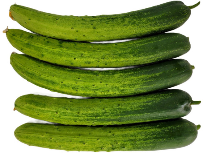 싱싱한 백오이 5개 10개 수량별