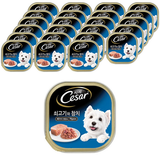 시저 1세 이상 강아지 쇠고기와 참치 주식캔, 소+참치, 100g, 24개
