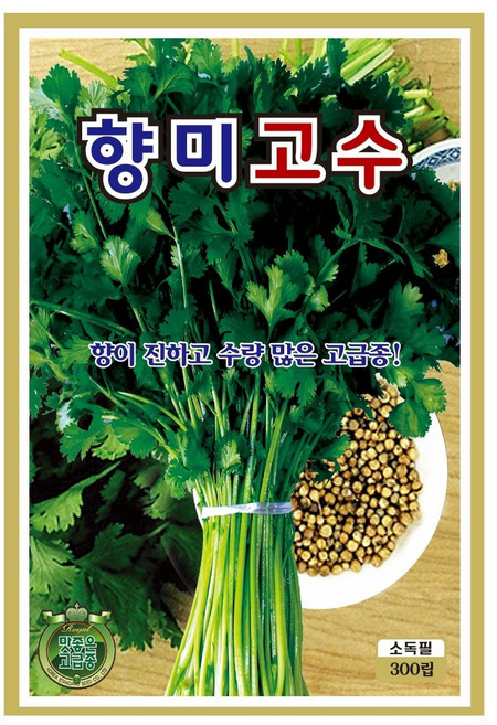 향미고수 씨앗(300립) 고수 씨 씨앗 종묘 종자 영웅 KS Coriander seeds Cilantro, 1개