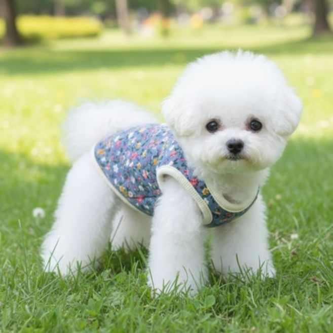 미르펫 귀염뽀짝 강아지 할머니 조끼 겨울옷 하네스, 1개, 파랑다솜