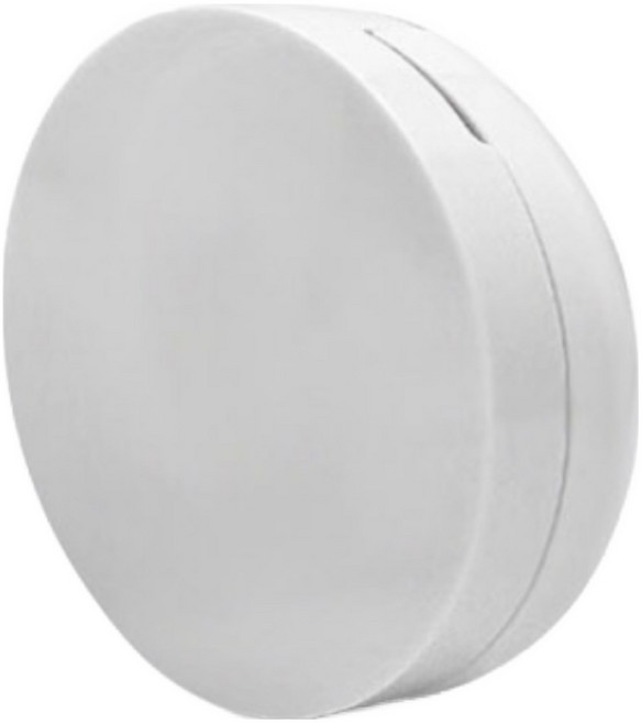 블랑느 DIY 쿠션 팩트 케이스 15g, 1개, 화이트