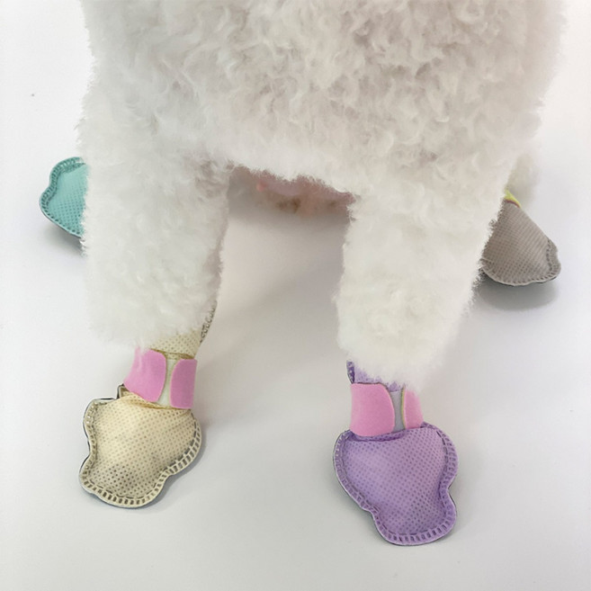 와우 강아지 애견 반려견 일회용 신발 신나라 슈즈 36매, 옐로우, 1개