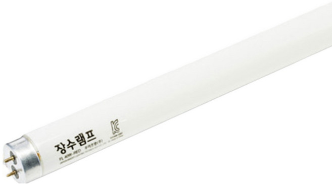 장수 직관형광등 32w FHF32SSEX-D, 주광색, 1박스