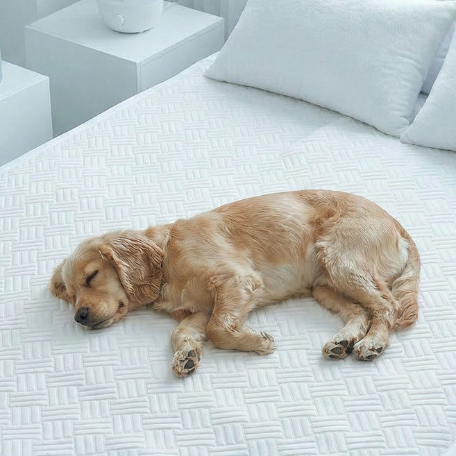 라브릭 냉감 쿨매트 여름 침대패드 써머라이트 플러스, 쿨화이트