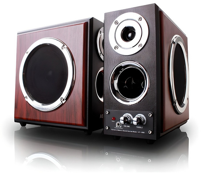 ASHTON AT-1000 WOOD 스피커 컴퓨터스피커 TV스피커 이어폰단자