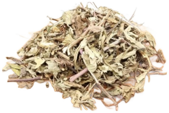 (건강즙)구절초100ml 30포