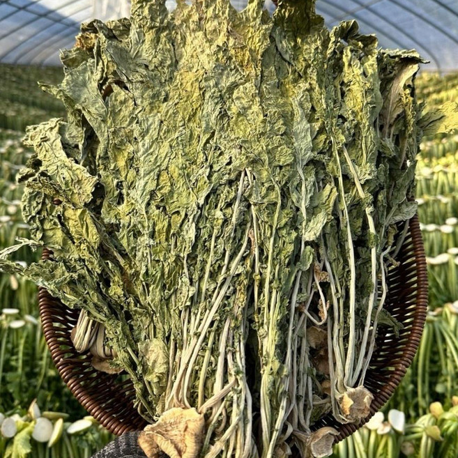 국산 무청 시래기 씨래기 무농약 친환경 230g 싱싱한 산지직송 경남고성참다래마을 껍질안벗기는시래기, 1개