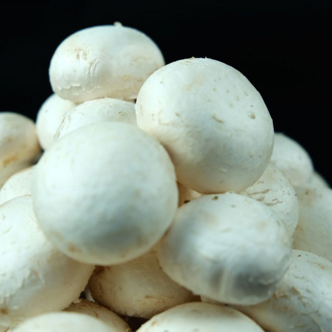 부여 석성 명품 하얀 양송이 500g/1kg/2kg, 1kg, 1개