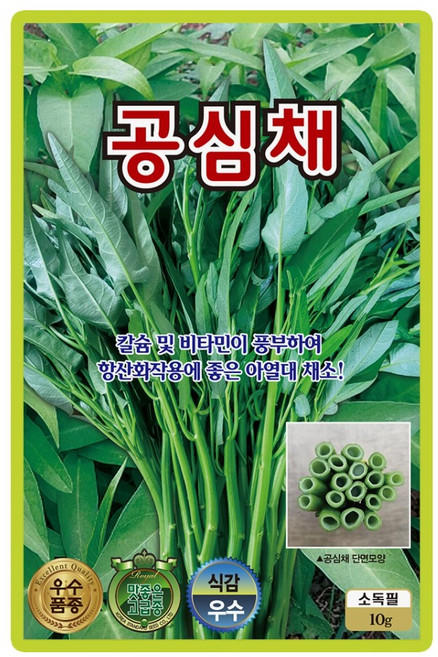 산들마켓 공심채 씨앗 10g 칼슘 비타민이 풍부하여 항산화 작용에 좋은 모닝글로리 열대식물 품종 종자, 1개