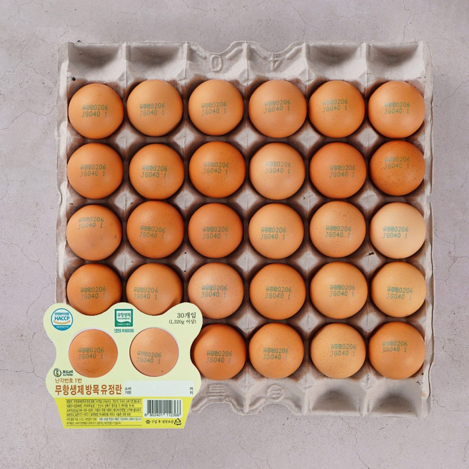 난각번호1번 무항생제인증 방사 유정란 30구 2판, 1개, 60구