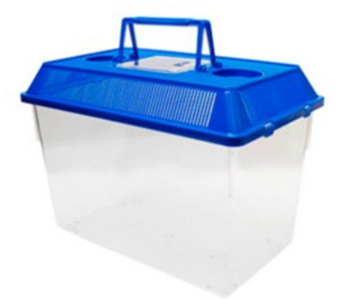 밀웜나라 채집통 소 중 대 특대 왕대, 1개