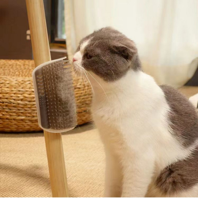 아지와냥 고양이 셀프 털 그루밍 브러쉬, 4개, 그레이